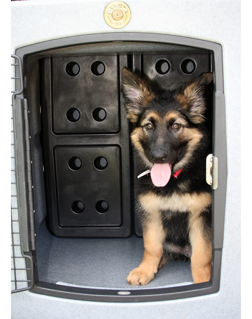 Dakota 283 Forever Insert Kennel Divider with Dakota Guard – Large, Black Molded Plastic with Nylon Support Rods, Adjustable Ventilated 2-Piece Design