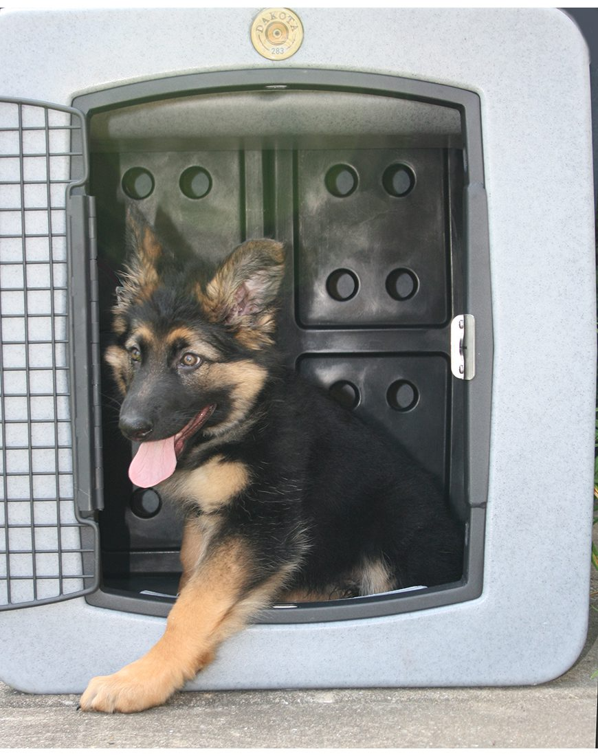 Dakota 283 Forever Insert Kennel Divider with Dakota Guard – X-Large, Black Molded Plastic with Nylon Support Rods, Adjustable Ventilated 2-Piece Design