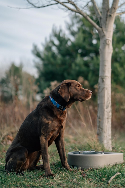Dakota 283 Dine N Dash Dog Feeding System – Coyote Granite, Dark Granite, Olive & Orange
