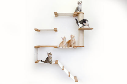 The Deluxe Cat Fort - Modern Cat Condo