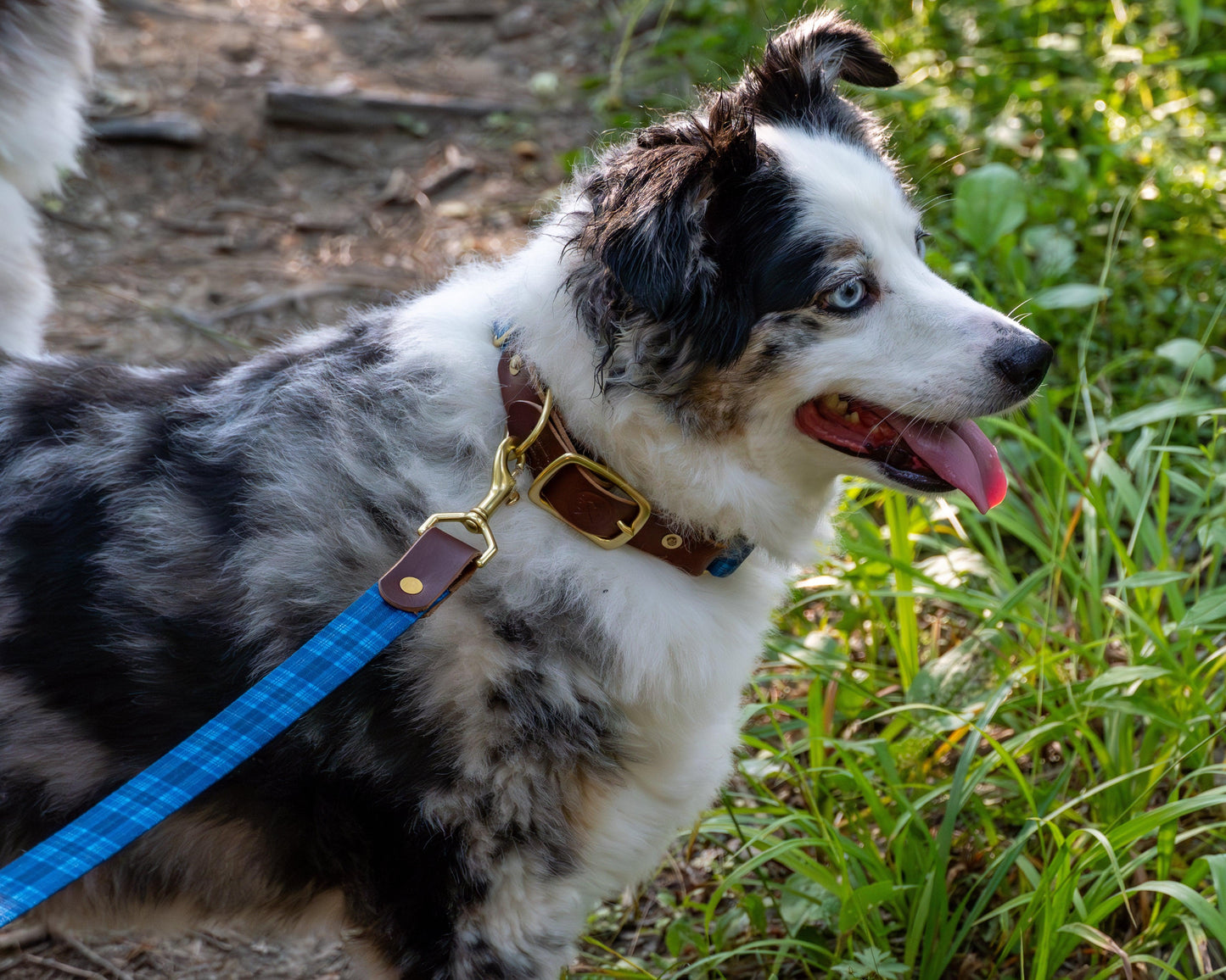 Tartan Dog Collar – Handmade Brass Buckle Plaid Leather Collar