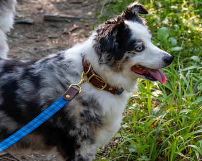 Tartan Dog Collar – Handmade Brass Buckle Plaid Leather Collar