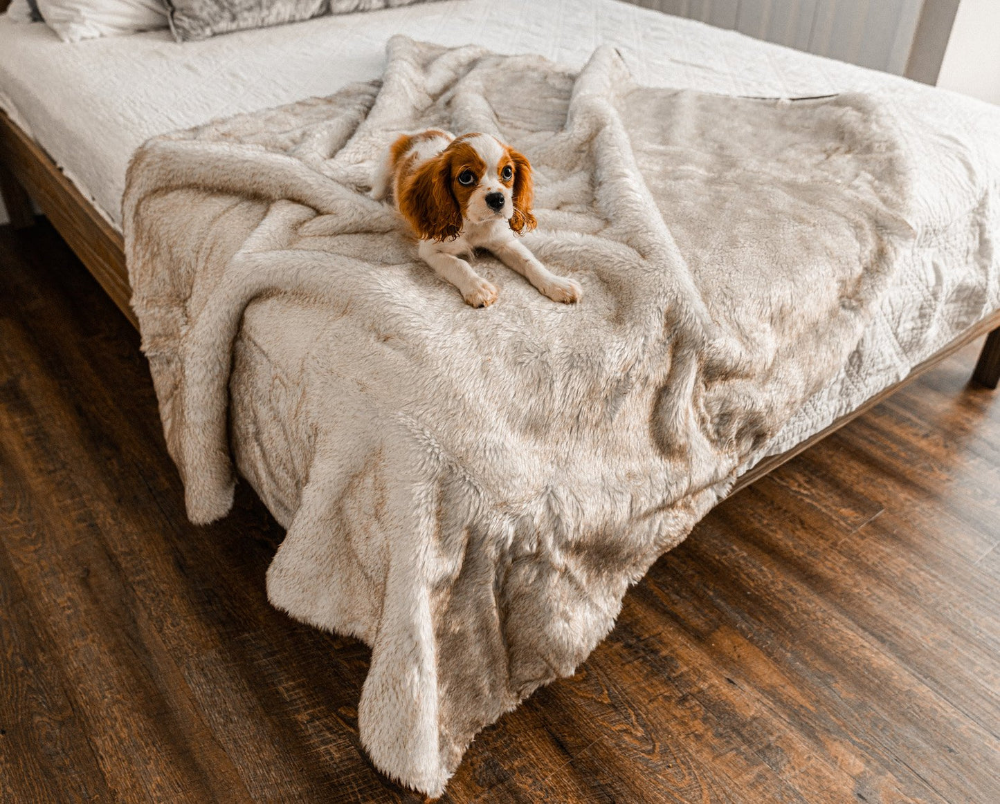 PupProtector™ Summer Short Fur Waterproof Throw Blanket - White with Brown Accents