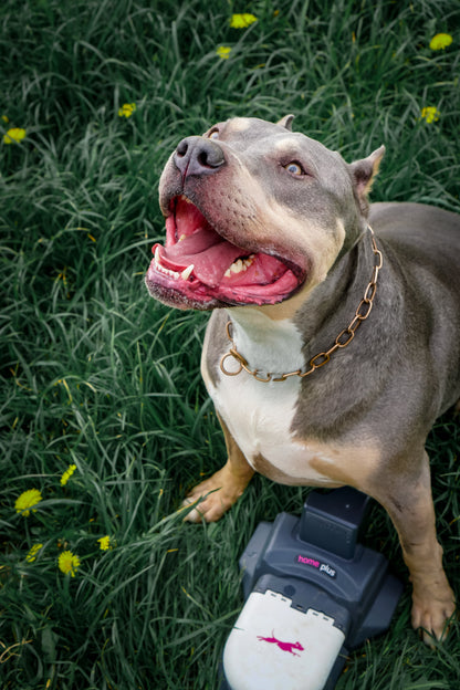 Home Plus Lure Course Kit | High-Speed Outdoor Dog Exercise System for Large Yards