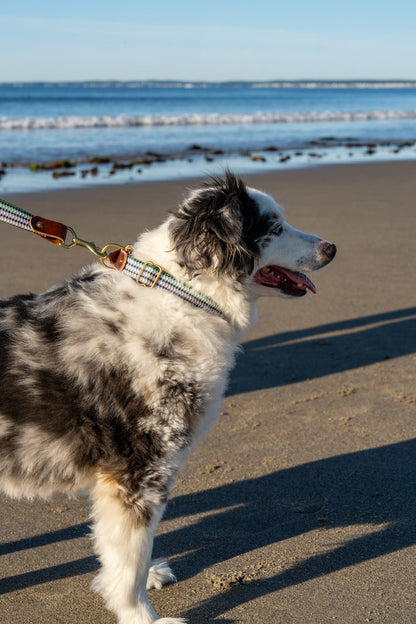 Saltwater Dog Collar – Handmade Waterproof Brass Buckle Beach Collar