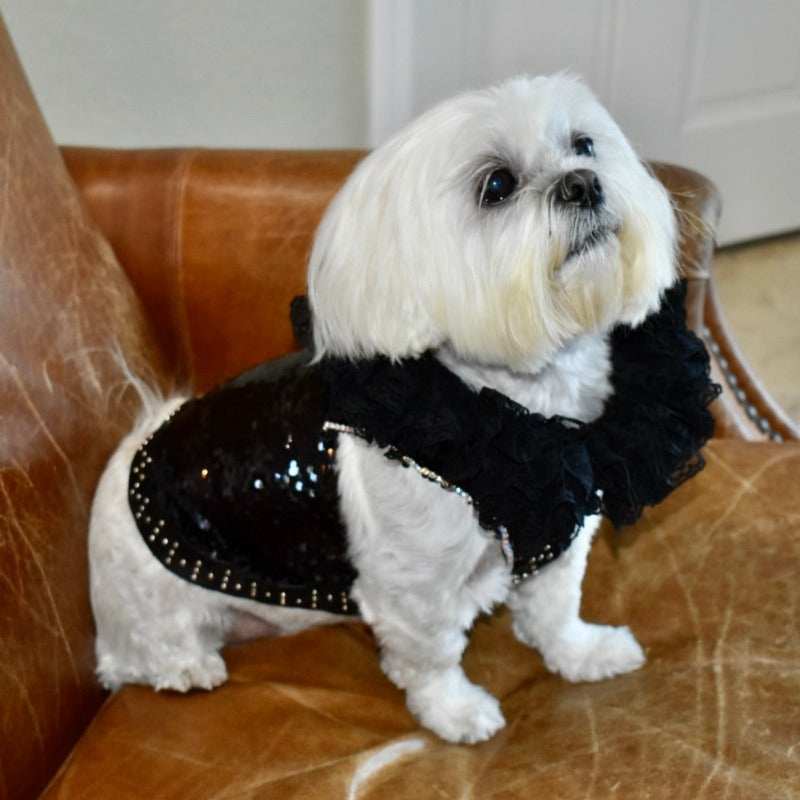 C’Mimi Designer Couture “Elektra” Dog Party Dress – Handmade Black Sequin & Lace Luxury Dress (XS–3XL, Custom Sizing Available, 6–8 Week Delivery)