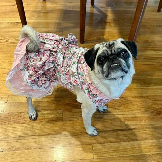 Vintage Rose Harness Dog Dress & Leash Set – Pink Cotton Floral Bow Dress for Small Dogs (S–2XL)