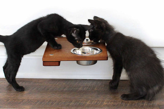 Wall Mounted Cat Feeding Shelf