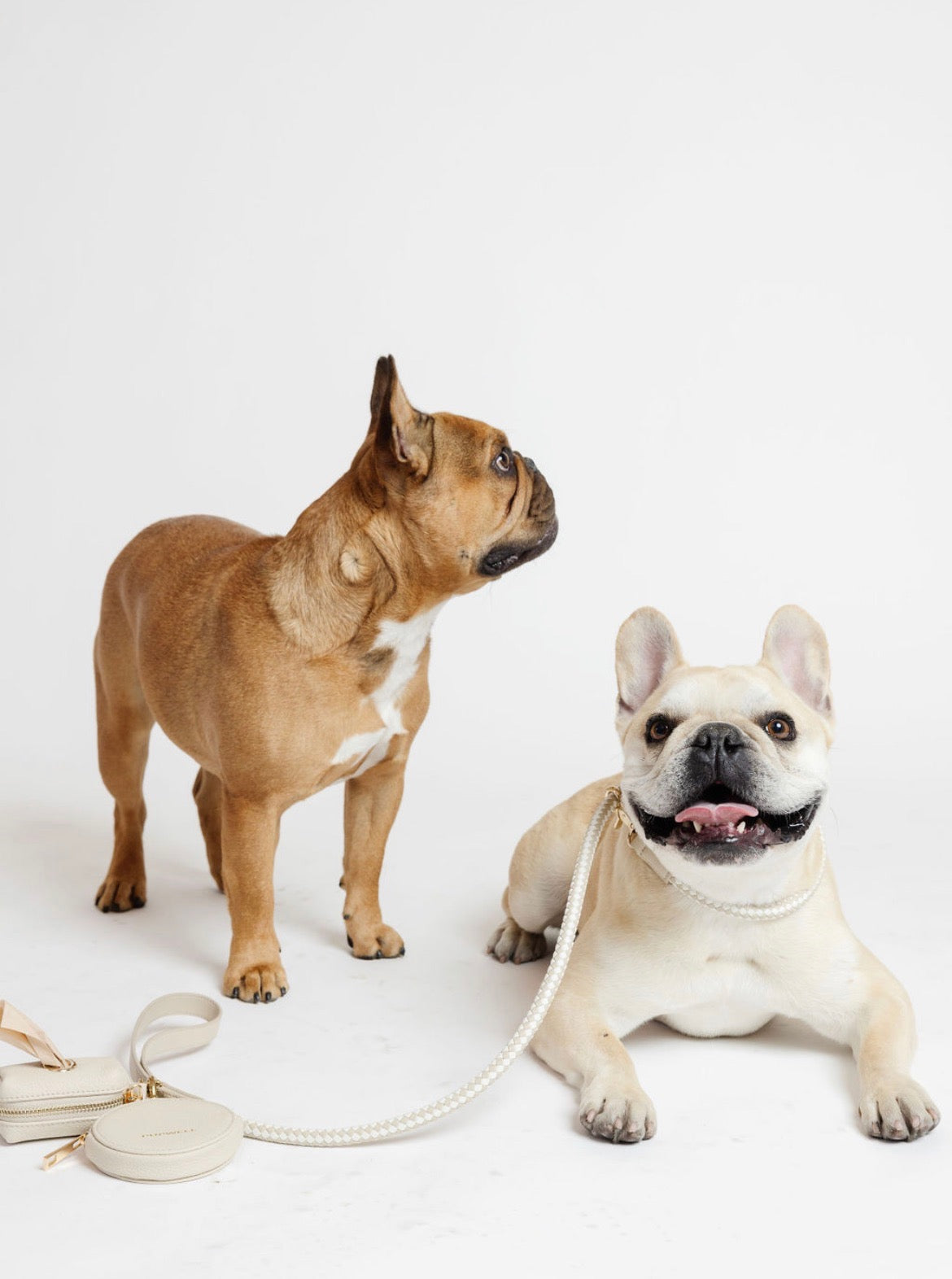 City Walk Kit – 3-Piece Dog Walking Set (Leash, Waste Bag Holder & Treat Pouch) | Pupwell