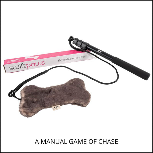 Flirt Pole | Adjustable Interactive Chase Toy for Dogs & High-Energy Pets