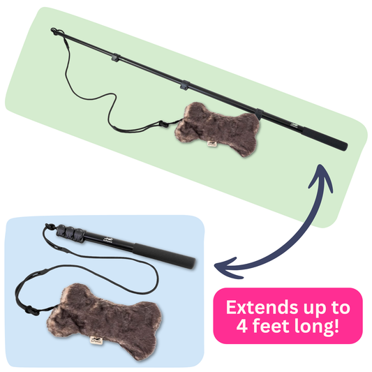 Flirt Pole | Adjustable Interactive Chase Toy for Dogs & High-Energy Pets