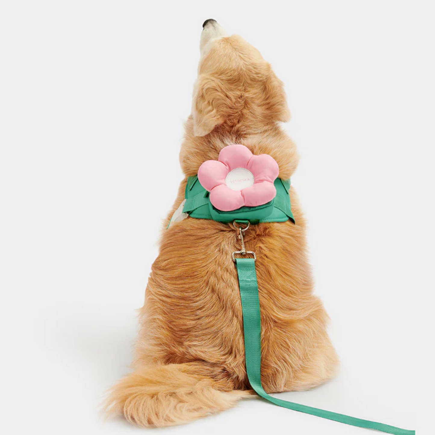 Flora Pet Harness & Backpack 3-in-1 Set by Vetreska – Flower-Shaped Backpack with Matching Collar & Leash (Size L)