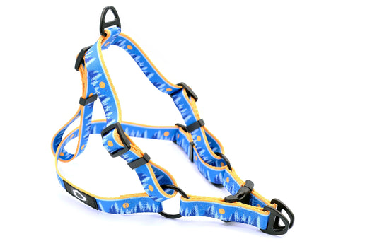 Outdoor Style Frozen Forest Nylon Step-In Dog Harness – Soft, Adjustable Design with YKK Buckle and No-Pull D-Rings