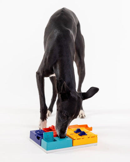 Pawzler Genius Set | Advanced Dog Puzzle Toy for Smart & Experienced Dogs