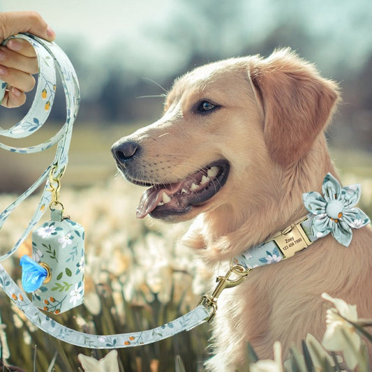 Light Blue Flower Dog Collar & Leash Set with Matching Poop Bag Case – Personalized Engraved Floral Collar Set with Gold Hardware (S–L)