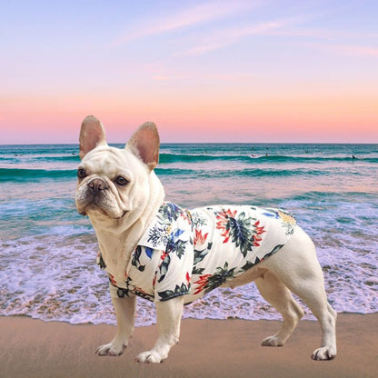 Hawaiian Dog Shirts – Tropical Aloha Button-Up for Small & Medium Dogs (XS–2XL, 8 Colors)