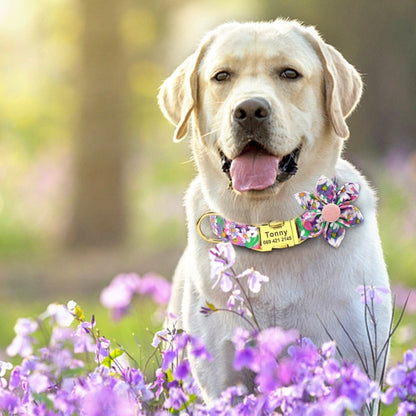 Purple Daisy Flower Dog Collar & Leash Set – Personalized Engraved Floral Collar with Removable Flower for Small, Medium & Large Dogs | Posh Dog Life
