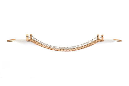 Double Cat Hammock and Climbing Bridge Combo