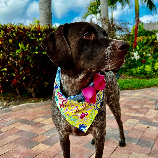 Tropical Miami Yellow Bandana Dog Collar with Bow – Handmade USA Cotton Bandana Collar with Pink Bow & Tropical Reef Print, Easy Snap Buckle (XS–XL)