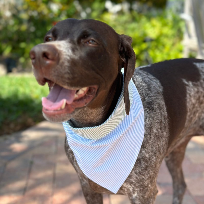 Blue Seersucker Bandana Dog Collar – Handmade USA Cotton Bandana Collar with Green Trim, Classic Seersucker Design, Easy Snap Buckle (XS–XL)