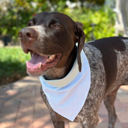 Blue Seersucker Bandana Dog Collar – Handmade USA Cotton Bandana Collar with Green Trim, Classic Seersucker Design, Easy Snap Buckle (XS–XL)