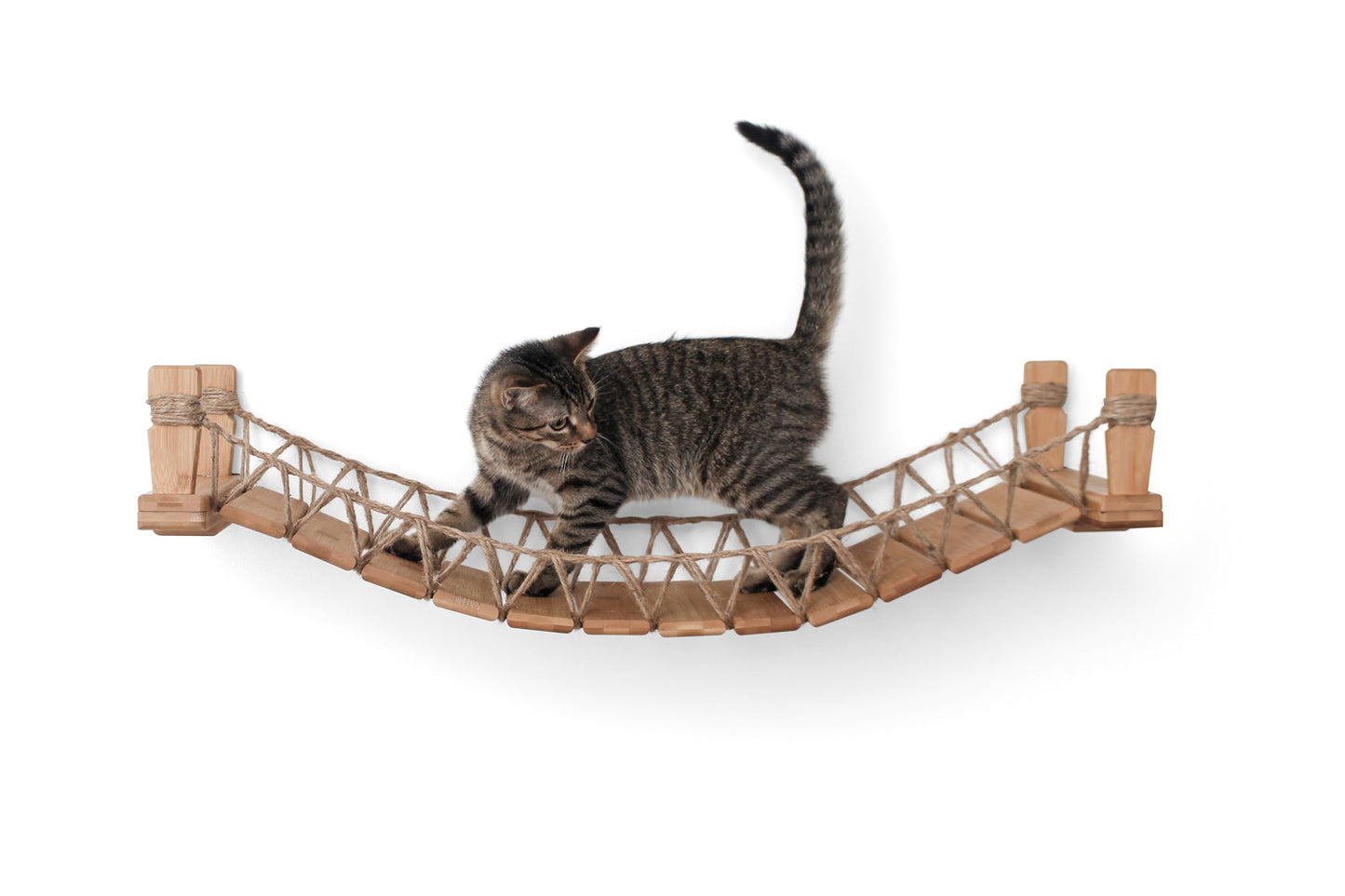 Cat Bridge for Wall
