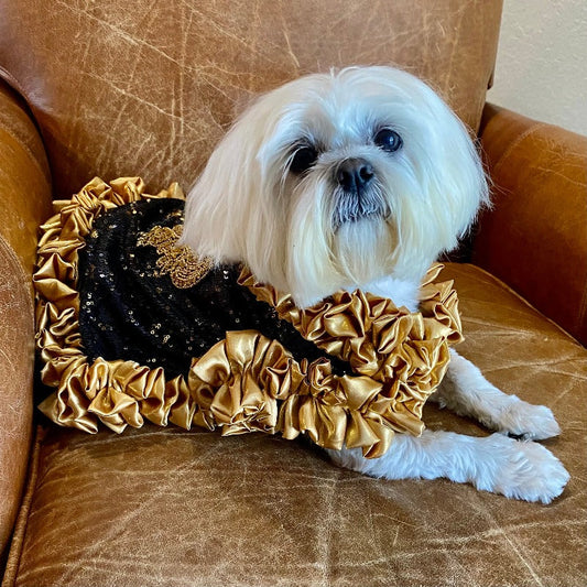 C’Mimi Designer Couture “Cleopatra” Dog Party Dress – Handmade Black & Gold Sequin Dress with Satin Ruffles and Bejeweled Appliqué (XS–3XL | Custom Sizes Available)