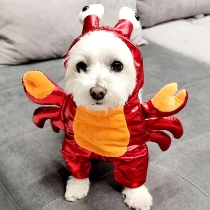 Halloween Red Crab Dog Costume – Adorable Cotton-Blend Pet Outfit with Velcro Neck Strap for Easy Wear, Perfect for Small-to-Medium Dogs (S–XL)