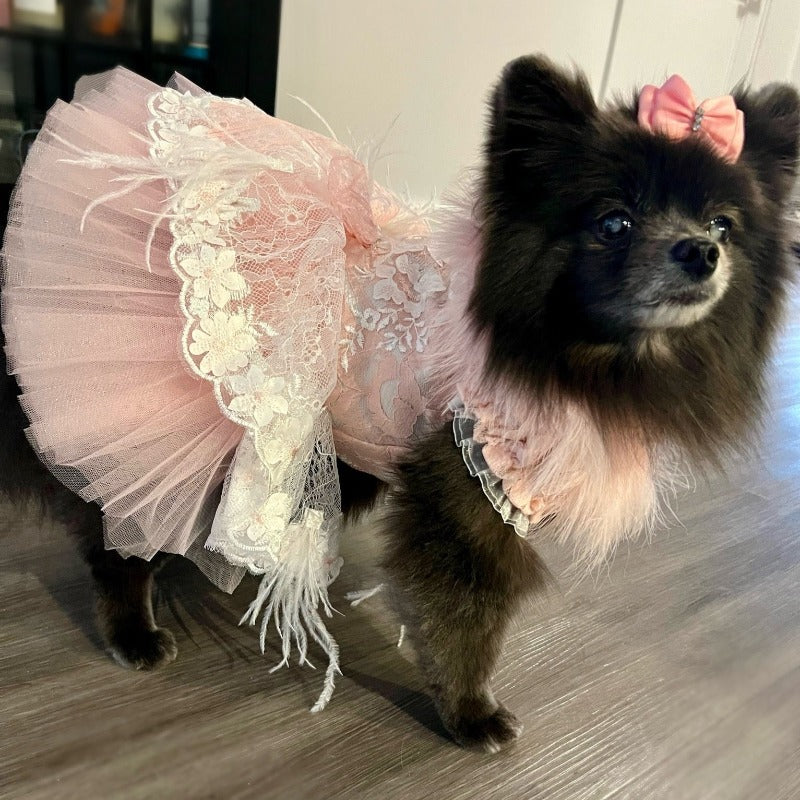 Designer Handmade “Sophia” Dog Party Dress – Luxury Pink Satin, Lace & Tulle Dress with Feathers and Floral Appliqué (XS–XL | Custom Sizes Available)