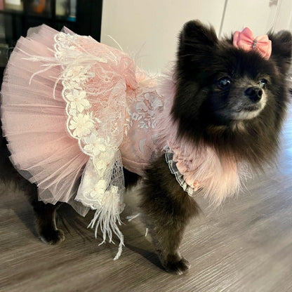 Designer Handmade “Sophia” Dog Party Dress – Luxury Pink Satin, Lace & Tulle Dress with Feathers and Floral Appliqué (XS–XL | Custom Sizes Available)