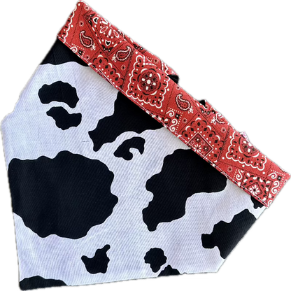 Cow Print Rodeo Bandana Dog Collar – Handmade USA Cotton Collar with Red Trim & Buckle, Western Cow Print Design (XS–XL, by Chloe & Max)