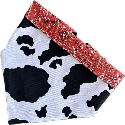 Cow Print Rodeo Bandana Dog Collar – Handmade USA Cotton Collar with Red Trim & Buckle, Western Cow Print Design (XS–XL, by Chloe & Max)