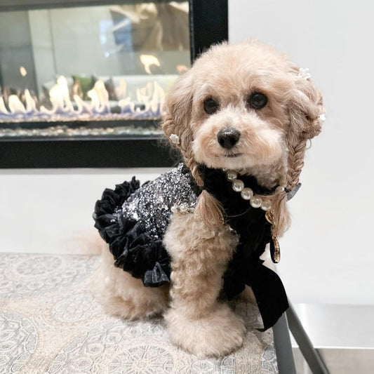C’Mimi Designer Handmade “Studio 54” Dog Party Dress – Exquisite Silver Sequin & Black Tulle Couture Dress by Jan Ben, Adorned with Rhinestones & Faux Pearls. Handmade to Order (6–8 Weeks), Sizes XS–3XL, Custom Sizing Available.