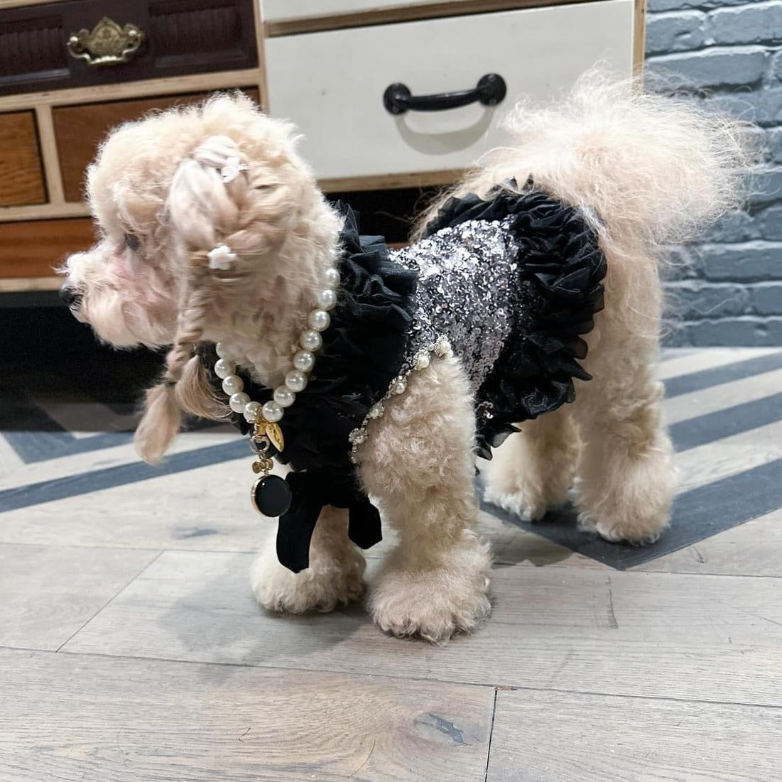 C’Mimi Designer Handmade “Studio 54” Dog Party Dress – Exquisite Silver Sequin & Black Tulle Couture Dress by Jan Ben, Adorned with Rhinestones & Faux Pearls. Handmade to Order (6–8 Weeks), Sizes XS–3XL, Custom Sizing Available.