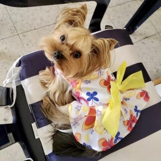 Butterfly Dog Party Dress – Elegant Gray Bow Cotton Blend Outfit for Small Dogs (XS–XL)