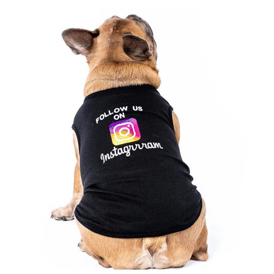 Instagram Influencer Embroidered Dog T-Shirt – 100% Pima Cotton “Instagrrram” Logo Tee for Small Dogs (XS–XL)