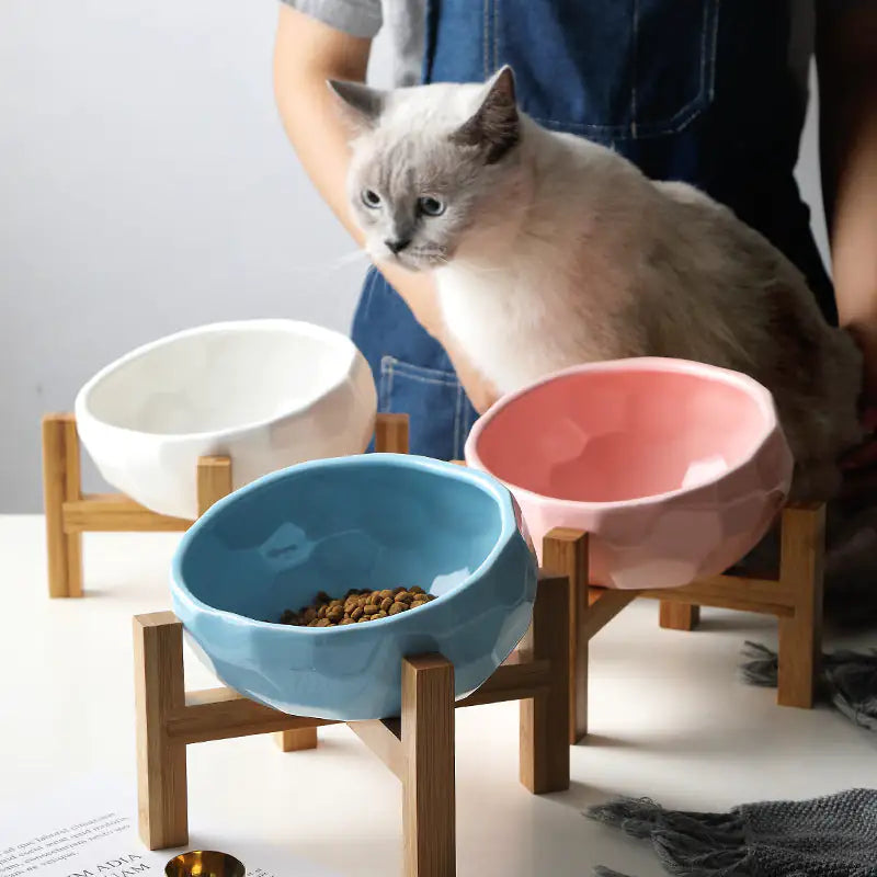 Purr-fect Cat Bowl with Bamboo Stand | Elevated Non-Slip Ceramic Dish for Cats