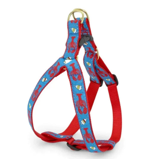 Up Country Lobster & Buoy Dog Harness & Leash Matching Set – Durable USA-Made Nautical Step-In Harness with Brass Hardware, Adjustable & Machine-Washable (5 ft Leash Included)