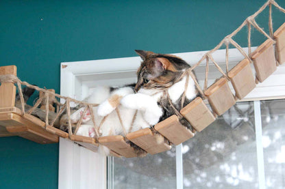 Cat Bridge for Wall