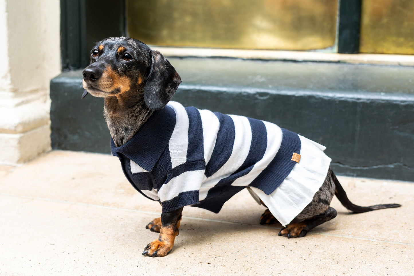 Gladys Cashmere-Blend Polo Dress for Dogs | Luxury Knit Ruffle Pet Dress