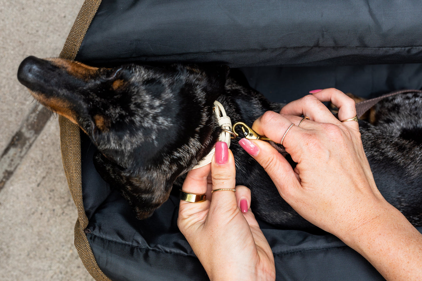 The Daily Packable Pet Carrier – Small Army | Foldable Soft-Sided Dog & Cat Travel Carrier with Storage Pockets