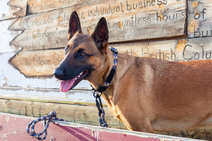 Adventure Style Mountain Argyle Nylon Climbing Rope Dog Leash – Durable Design with Locking Aluminum Carabiner