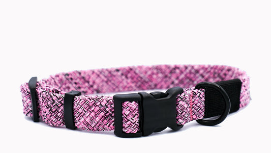 Adventure Style Mountain Blush Nylon Climbing Rope Dog Collar – Durable Design with YKK Polyacetal Strong Buckle