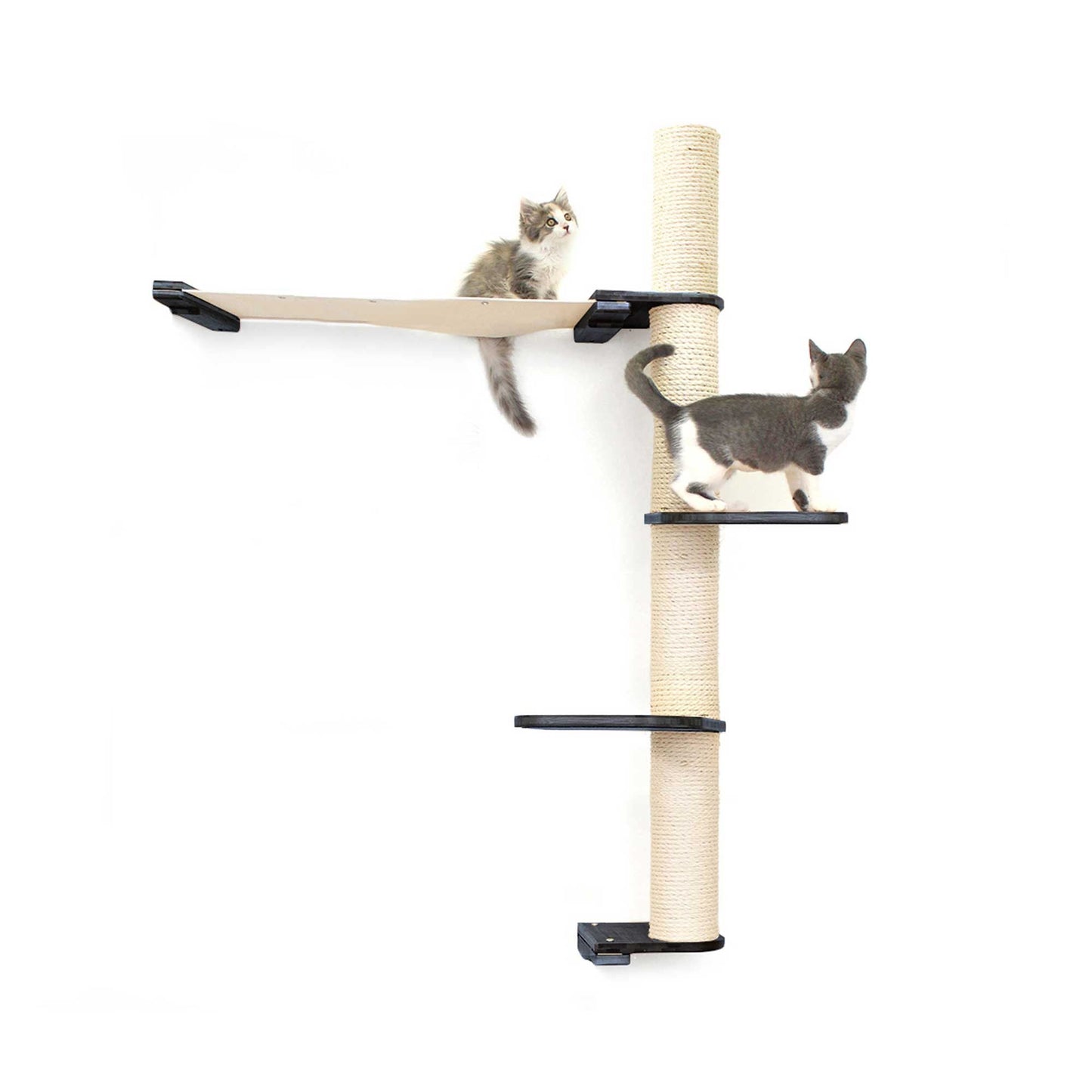 The Crow's Nest - A Wall Cat Scratcher with Hammock