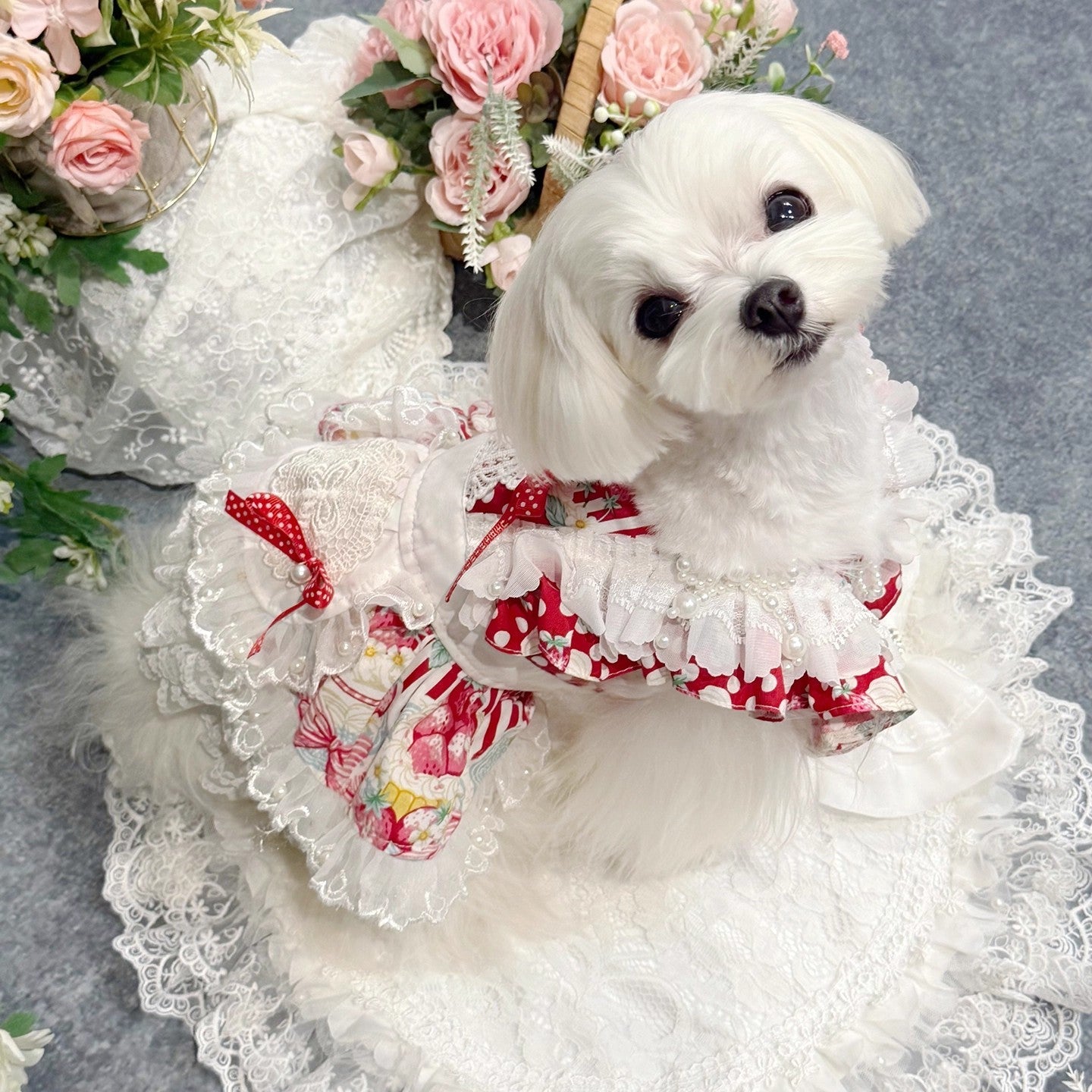 Handmade Sweet Lolita Pet Dress