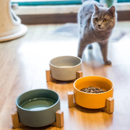 Ceramic Raised Cat Bowl with Wooden Stand | Elevated Ergonomic Dish for Better Posture & Digestion