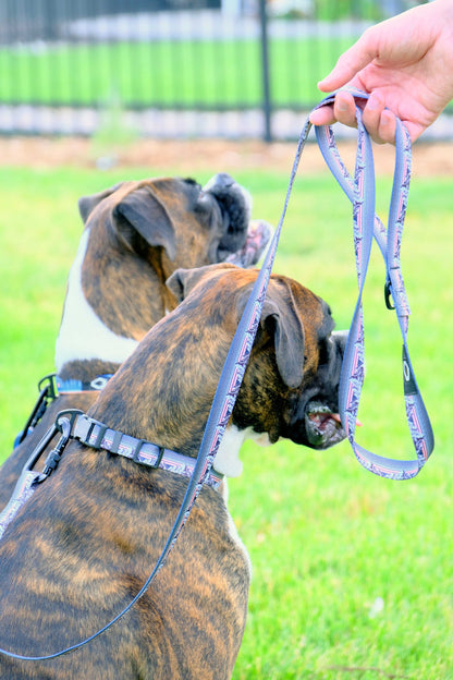 Outdoor Style Mountain Sunset Nylon Step-In Dog Harness – Soft, Adjustable Design with YKK Buckle and No-Pull D-Rings