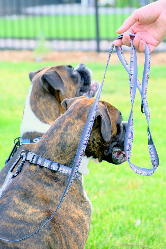 Outdoor Style Mountain Sunset Nylon Step-In Dog Harness – Soft, Adjustable Design with YKK Buckle and No-Pull D-Rings