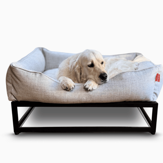 The FÜZI Raised Dog Bed – Pale Grey Performance Fabric with Black Metal Base