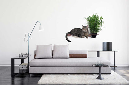 Cat Hammock Wall with Planter